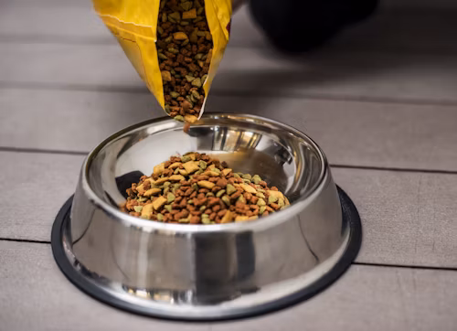 Foto de um pacote de ração para gatos castrados sabor salmão